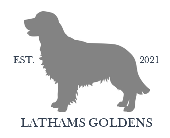 WELCOME TO LATHAM&rsquo;S GOLDENS